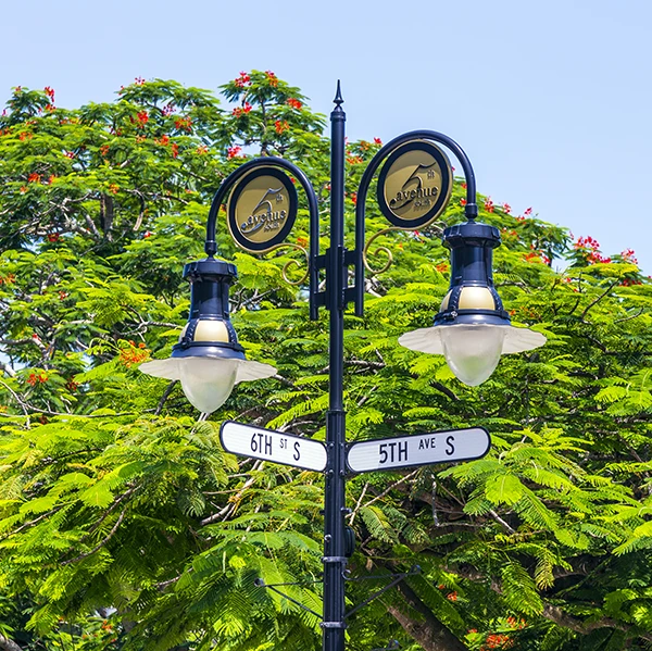 Street sign for 5th Avenue South and 6th Street South with decorative lamps and tropical trees